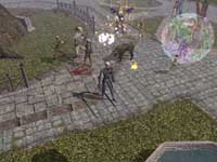 Neverwinter Nights