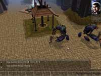 Neverwinter Nights