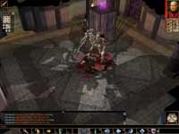 Neverwinter Nights