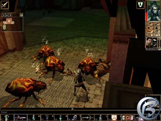 Neverwinter Nights