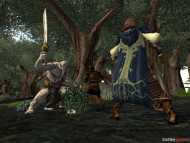 Middle Earth Online