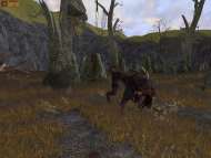 Middle-Earth Online