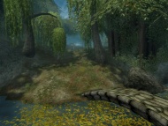 Middle-Earth Online