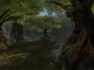 Middle-Earth Online