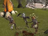 Middle Earth Online