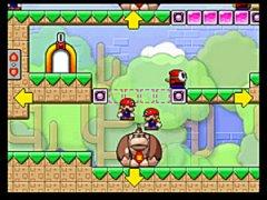 Mario vs. Donkey Kong 2: March of the Minis