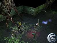 Dungeon Siege - screenshoty