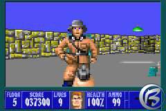 Wolfenstein 3D