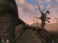 Morrowind