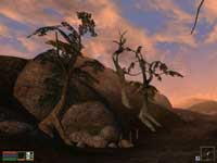 Morrowind