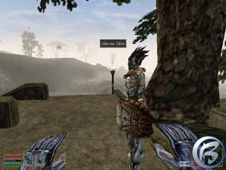 The Elder Scrolls: Morrowind