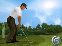 Tiger Woods PGA Tour 2002