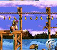 Donkey Kong Country 3: Dixie’s Kong’s Double Trouble