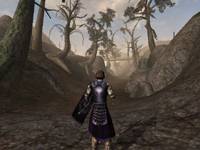 The Elder Scrolls: Morrowind