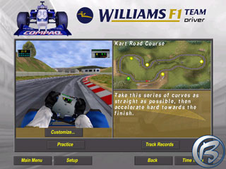 Williams F1 Team Driver