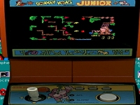 Donkey Kong Jr