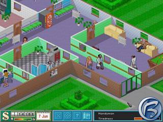 Theme Hospital