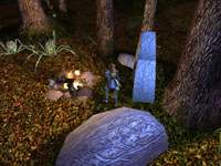 Neverwinter Nights