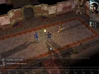 Neverwinter Nights