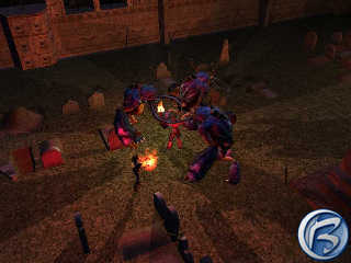 Neverwinter Nights