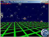 Sheep - The Animal Invasion