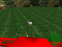 Chicken Tournament