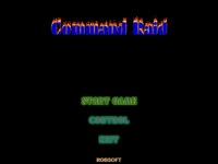 Commando Raid