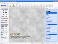 CaptureXT Screen Capture - větší obrázek z programu