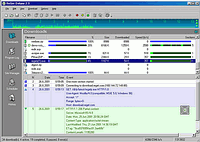 ReGet Deluxe - vt obrzek z programu