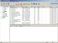 Free Download Manager - vt obrzek z programu