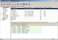 Free Download Manager - větší obrázek z programu