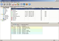 Free Download Manager - vt obrzek z programu