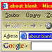 Google Toolbar - vt obrzek z programu