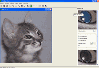 Pet Eye Pilot - větší obrázek z programu