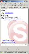 Skype - vt obrzek z programu