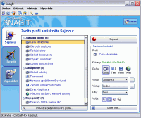 SnagIt - vt obrzek z programu
