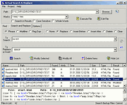 Actual Search & Replace - vt obrzek z programu