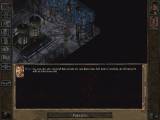 Baldur's Gate II: Shadows of Amn CZ