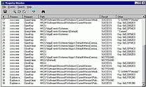 Registry Monitor - vt obrzek z programu