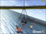 MS Flight Simulator X