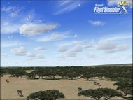 MS Flight Simulator X