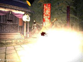 Shinobido: Way of The Ninja