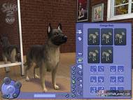 The Sims 2: Pets