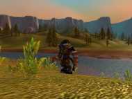 World of Warcraft