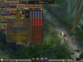 Dungeon Siege 2