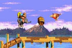 Donkey Kong Country 3