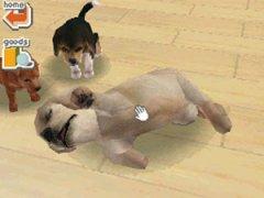 Nintendogs