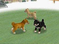 Nintendogs