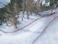 Ski Racing 2006