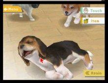 Nintendogs